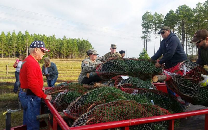 Trees for Troops